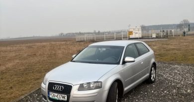 Audi A3 (2008)